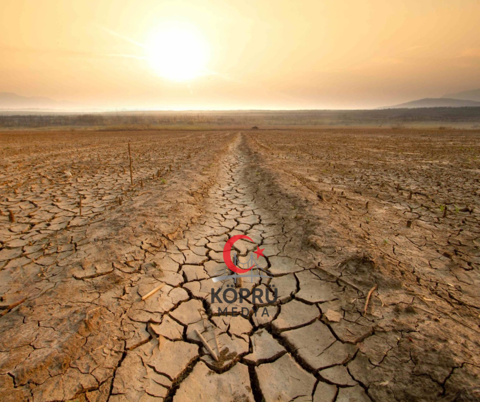 TEMA Sesleniyor: Kuraklığa ve Çölleşmeye Geçit Verme!