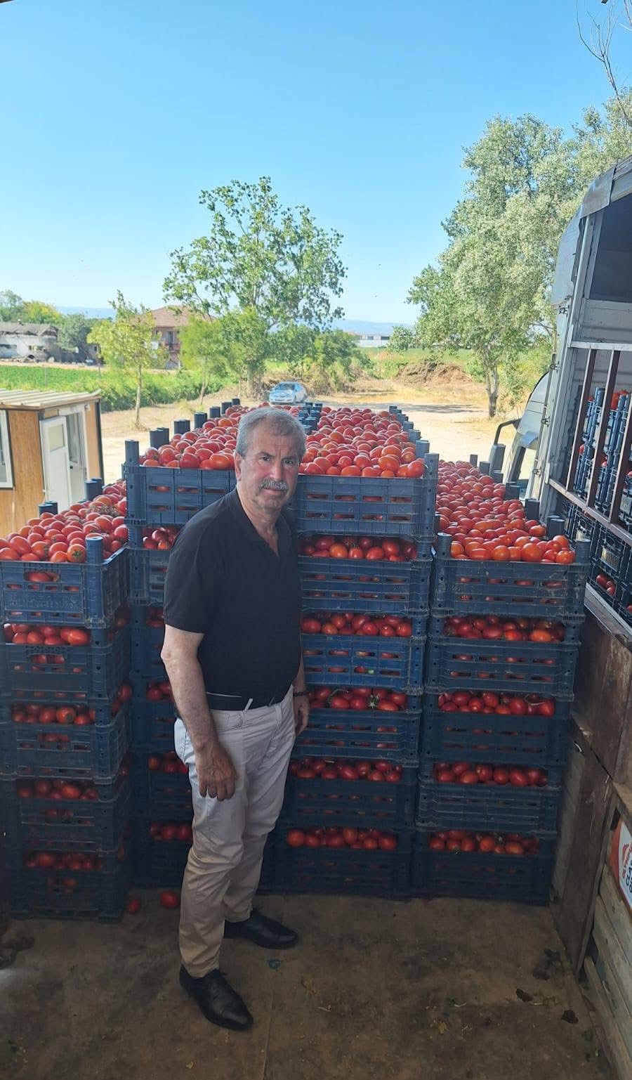 ORMANKADI’DA DOMATES SEZONU DUALARLA AÇILDI!