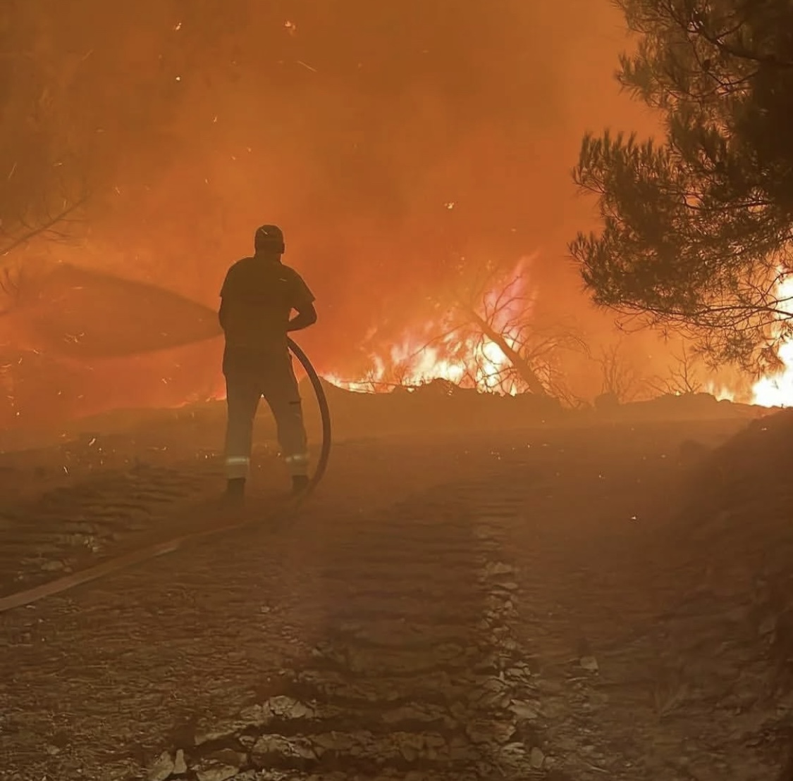 Yangında Acı Kayıp: Şehitlerimiz Var! 