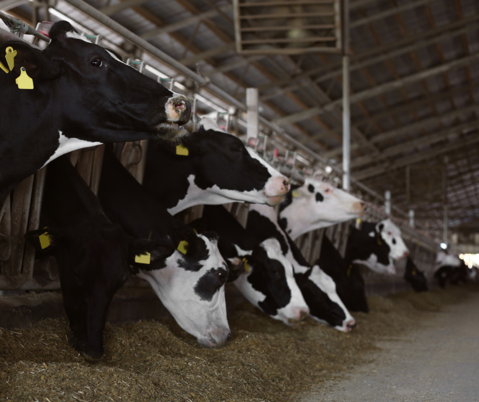 865 Milyon TL’lik Destek Çiftçinin Yüzünü Güldürdü!