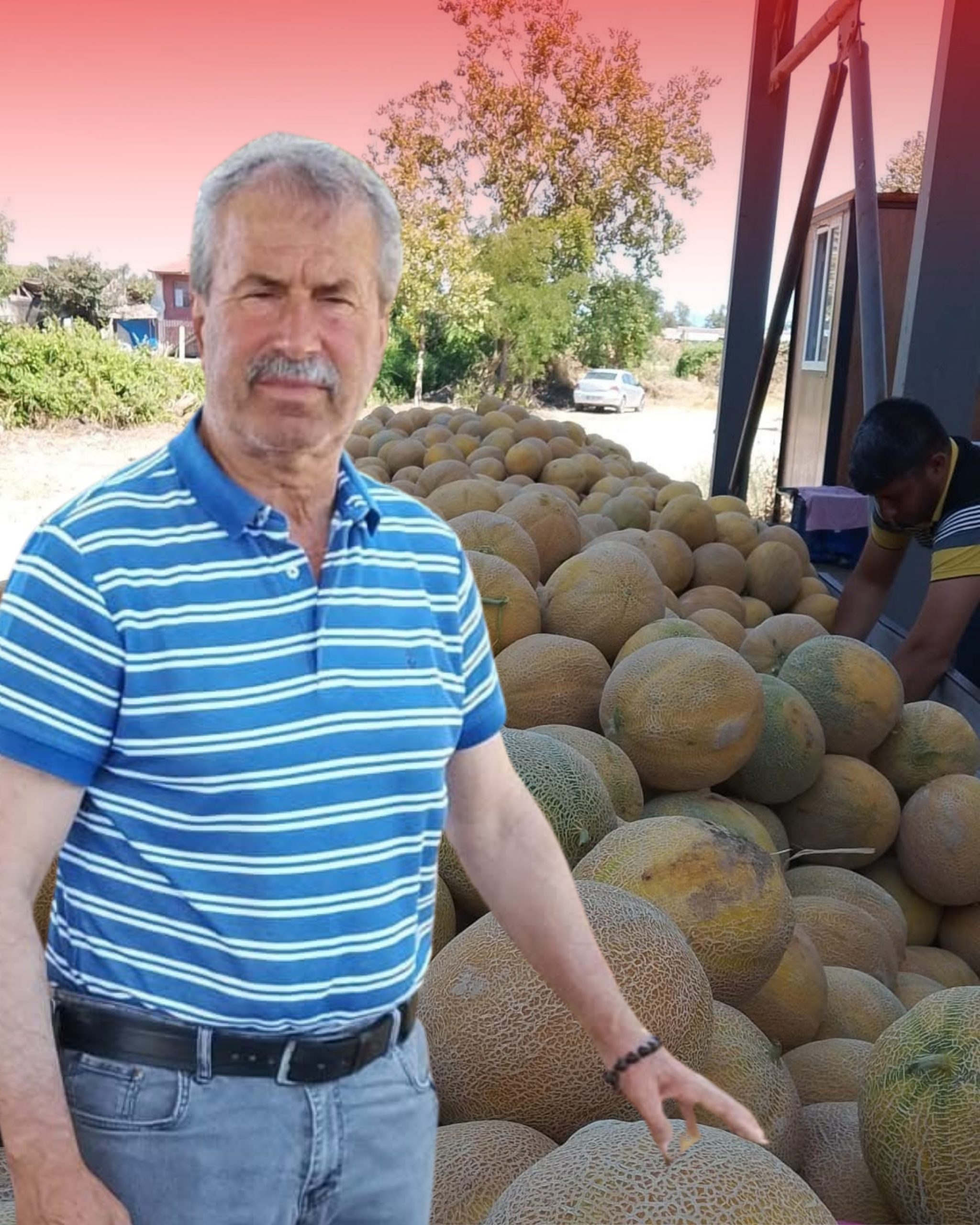 Yazın Bereketi Geldi: Kavunlar Yetişti!
